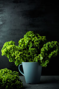 Fresh greens kale grey cup black background