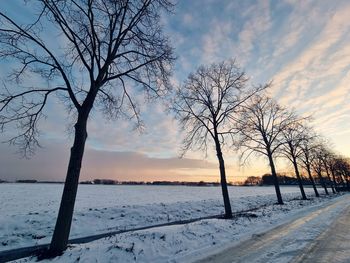 Bare trees on snow covered landscape against sky