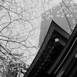 Low angle view of buildings against sky