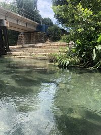 Bridge over river against trees