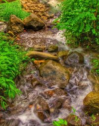 Stream flowing through rocks