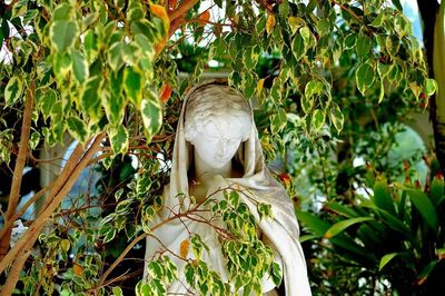 Low angle view of trees