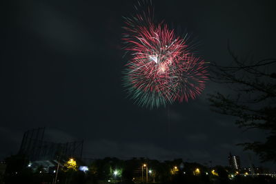 Low angle view of firework display at night