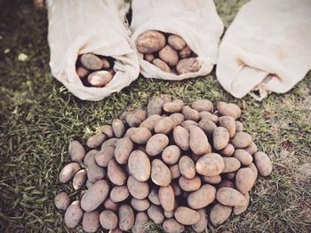 Bag of potatoes on the grass