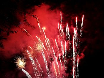 Low angle view of firework display at night