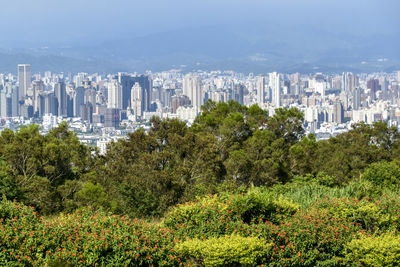 Trees and buildings in city against sky