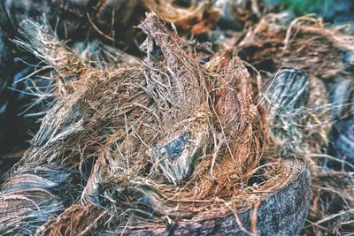 Close-up of fishing net