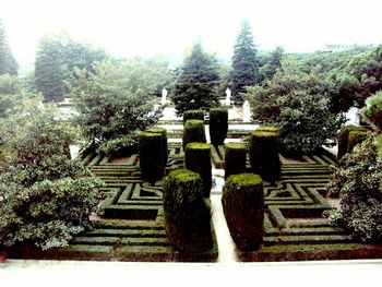 View of cemetery against trees