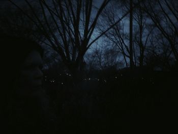 Silhouette of bare trees against sky at dusk