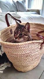 Cat relaxing on bed at home