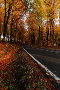 Road amidst trees during autumn