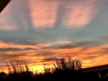 Silhouette trees against dramatic sky during sunset