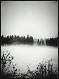 Scenic view of lake in forest during winter