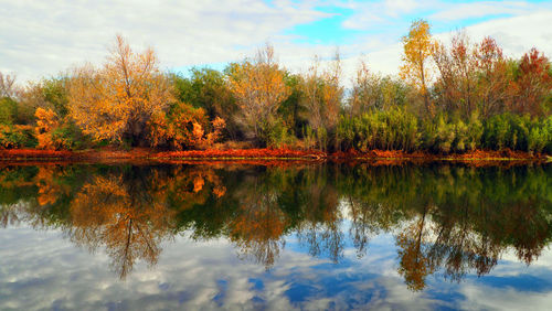 Reflection of trees in lake against sky