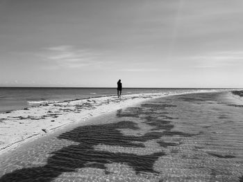 Rear view of people on beach