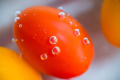 Close-up of tomatoes in water