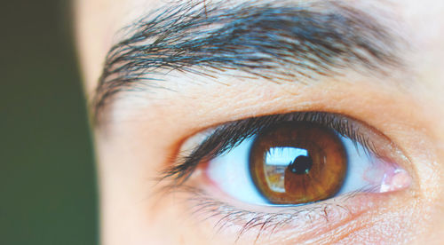 Extreme close-up of eye