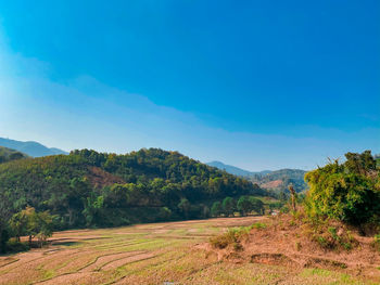 Scenic view of field against blue sky