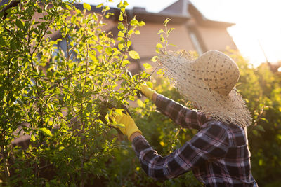 Rear view of woman holding plants