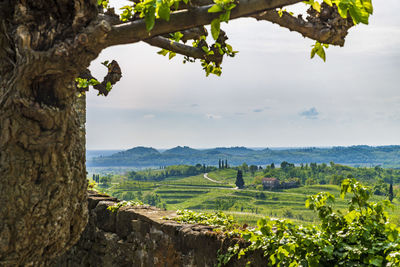 Scenic view of landscape against sky