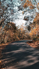 Road amidst trees in forest during autumn