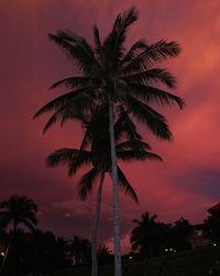 Low angle view of silhouette palm tree against romantic sky