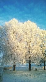 Scenic view of snow covered landscape