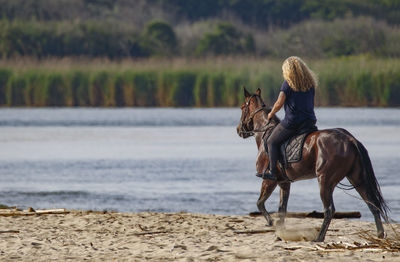 Side view of horse standing at beach