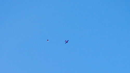 Low angle view of birds flying in sky