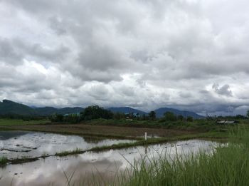 Scenic view of field by lake against sky