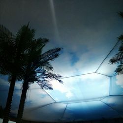 Low angle view of palm tree against sky