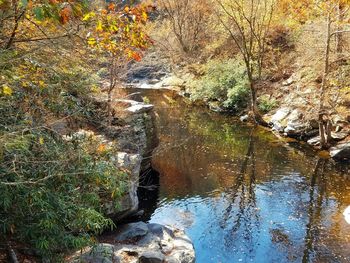 Stream flowing through rocks in forest