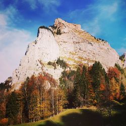 Low angle view of rock formation amidst trees against sky