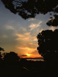 Silhouette trees against sky during sunset