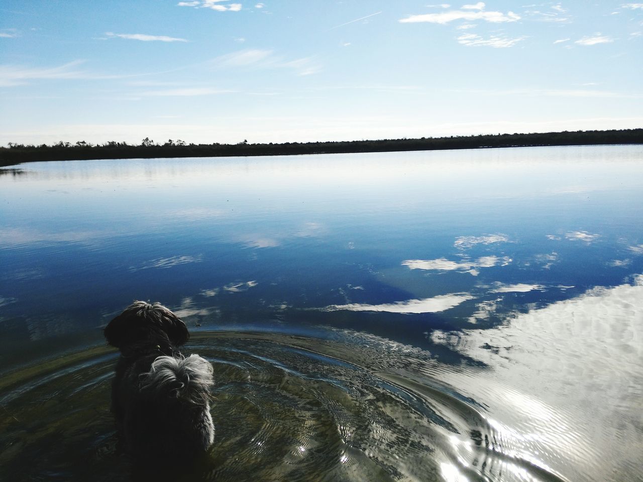 rear view, water, nature, beauty in nature, sky, reflection, one person, scenics, outdoors, tranquil scene, tranquility, real people, lake, day, standing, people