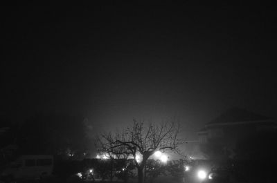 Low angle view of bare trees against sky at night