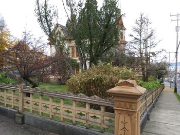 Built structure against trees in city