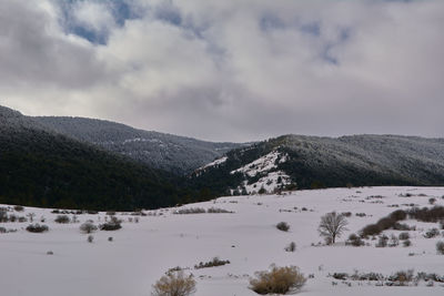 Rocks on the beach after the storm. storm colors