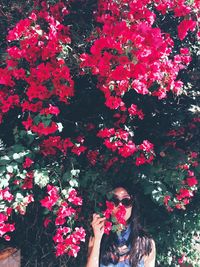 Close-up of woman holding pink flowers