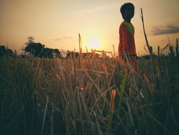 Man standing on field against sky during sunset