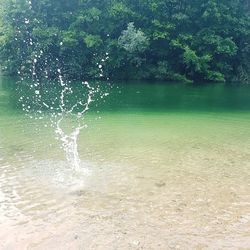 Scenic view of lake