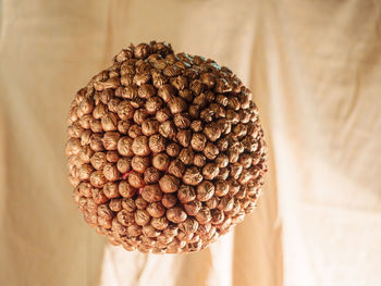 A ball covered with decaying fruits