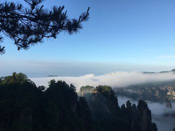 Panoramic view of trees on landscape against sky