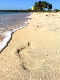 Scenic view of beach