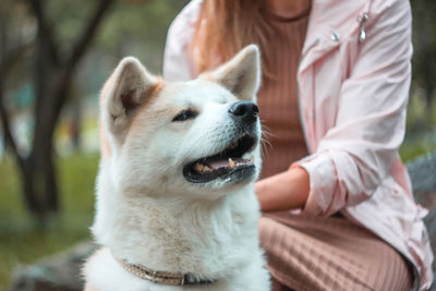 Rear view of woman with dog sitting outdoors