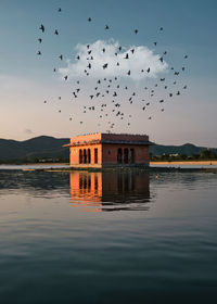 Birds flying over lake against sky