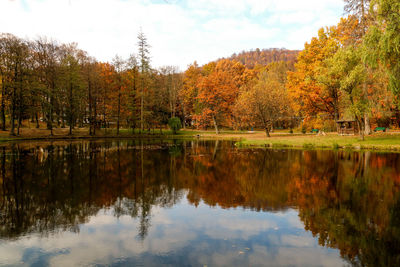 Reflection of trees in lake