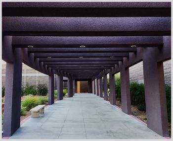 Narrow walkway in park