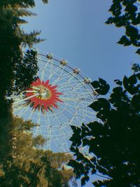 Low angle view of flowering plant against sky