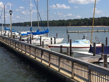 Boats moored in harbor